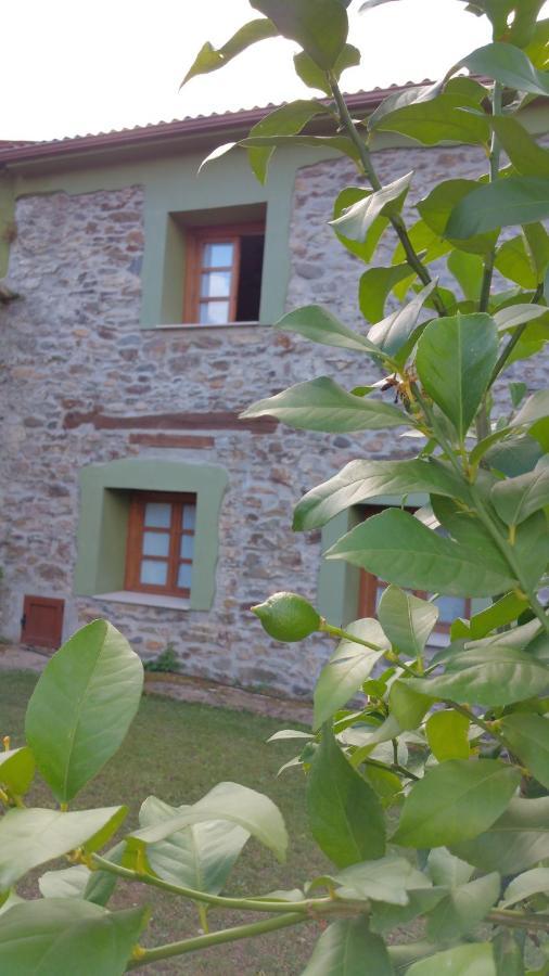 Casa Rural La Pumarada De Limes Cangas De Narcea Exterior foto